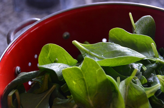 Is Drinking Fresh Green Vegetable Juice The Solution For Your Fat Loss is-drinking-fresh-green-vegetable-juice-the-solution-for-your-fat-loss